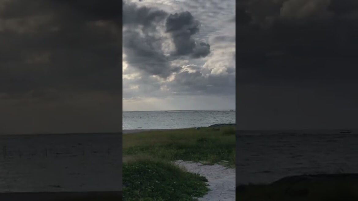 ①Chatan Park is the beach where Kazuta(n.SSign)  spent his time as a student(カズタが過ごした北谷公園)