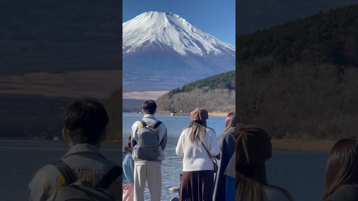 Mount Fuji View of Japan 🇧🇷in🇯🇵 2024📸🗻#shortsyoutube