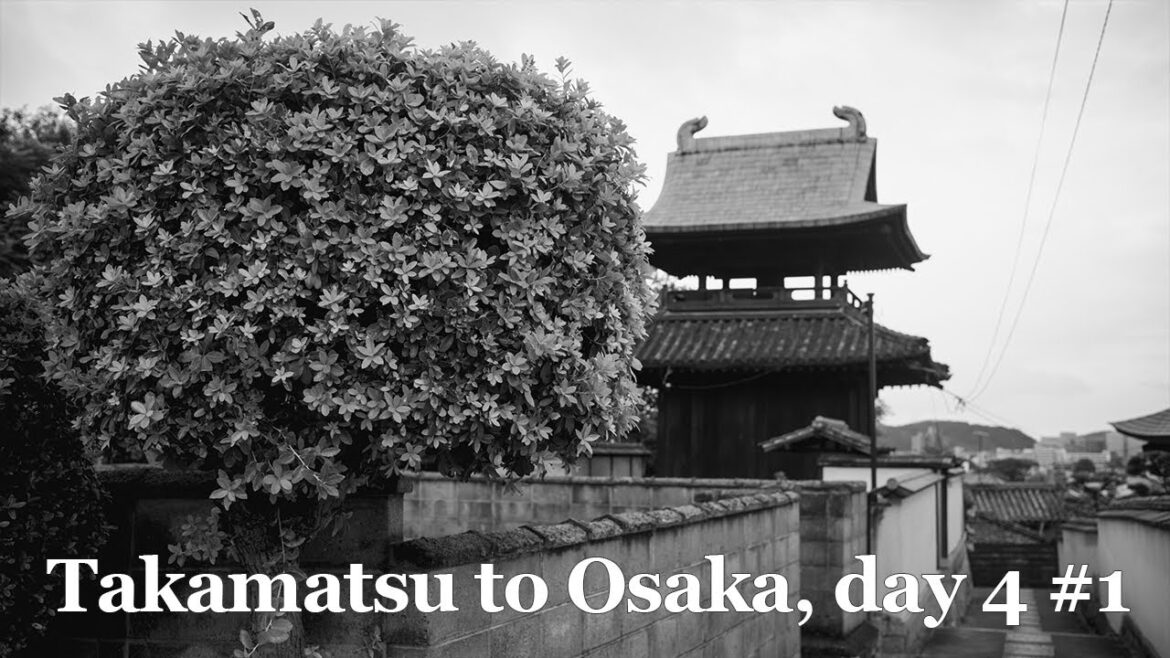 Kurashiki 倉敷市, 10-day trip from Takamatsu to Osaka, Japan | Day 4 #1 Kurashiki 倉敷市, 10-day trip from Takamatsu to Osaka, Japan | Day 4 #1