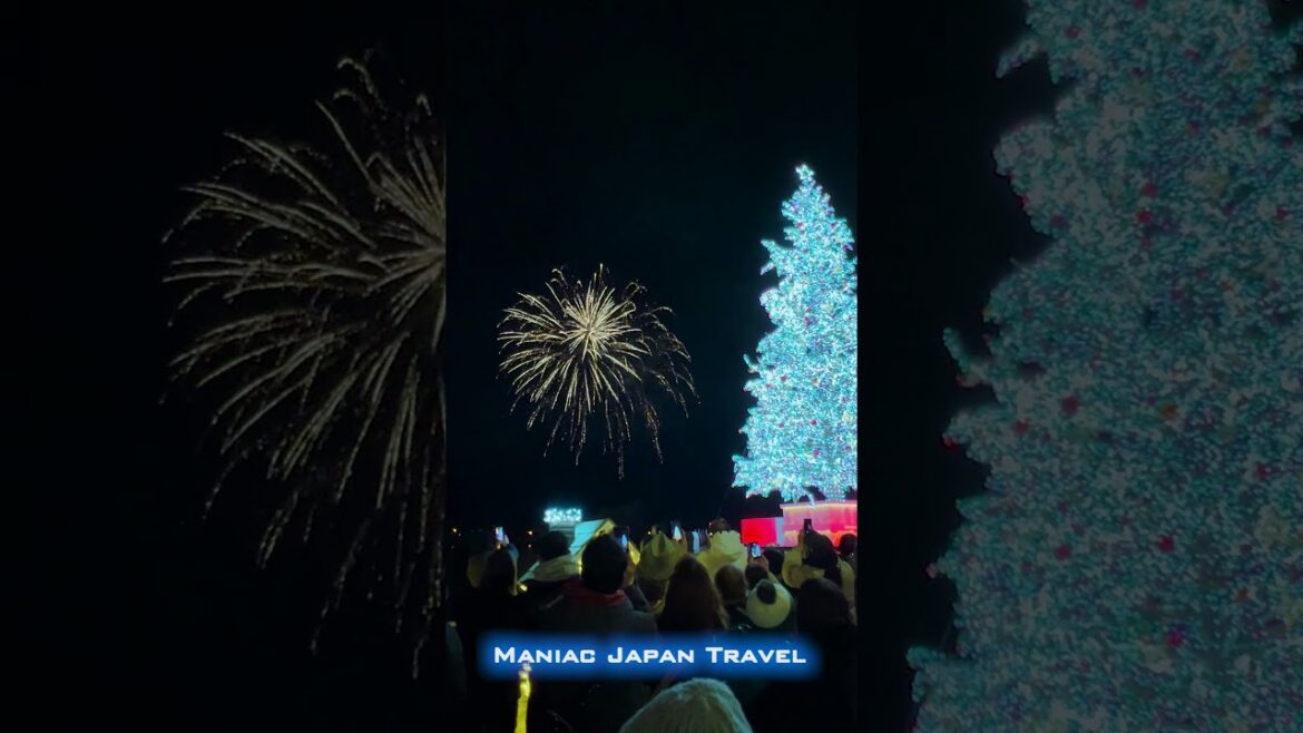 北海道 函館 はこだてクリスマスファンタジー 2024.12.1 北海道 函館 はこだてクリスマスファンタジー 2024.12.1