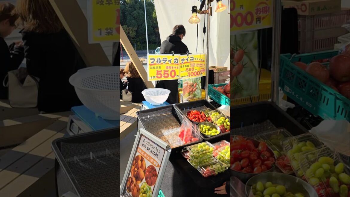 天気が良かったので『あつたnagAya』に行ってきました #shorts #名古屋