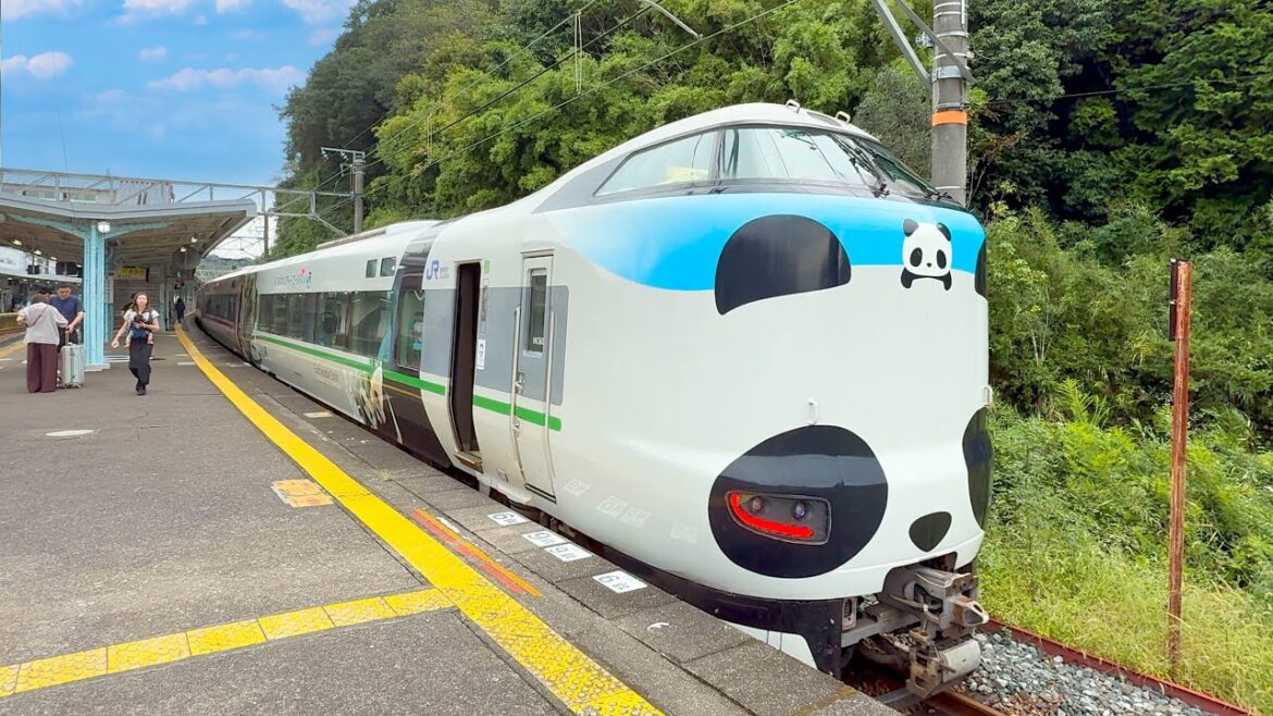 Riding the Panda Train to World Full of Pandas ๐ผ๐ผ๐ผ Adventure World Riding the Panda Train to World Full of Pandas ๐ผ๐ผ๐ผ Adventure World