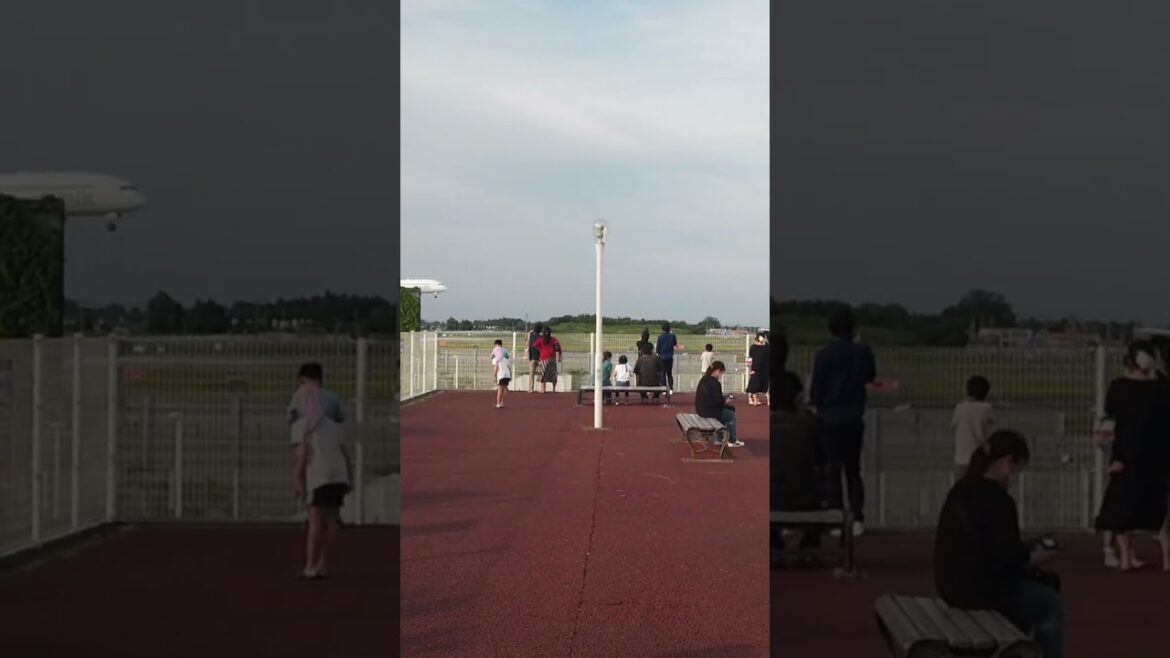 The landing 2 #traveljapan #airplane #viewdeck The landing 2 #traveljapan #airplane #viewdeck