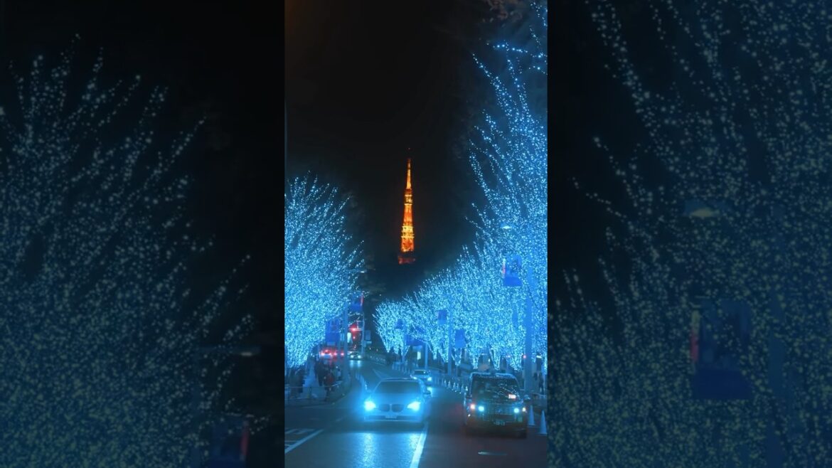 Japan🇯🇵 Tokyo❤️ #explore #travel #tokyo #japan #nature #traveldestinations @etwofficial21