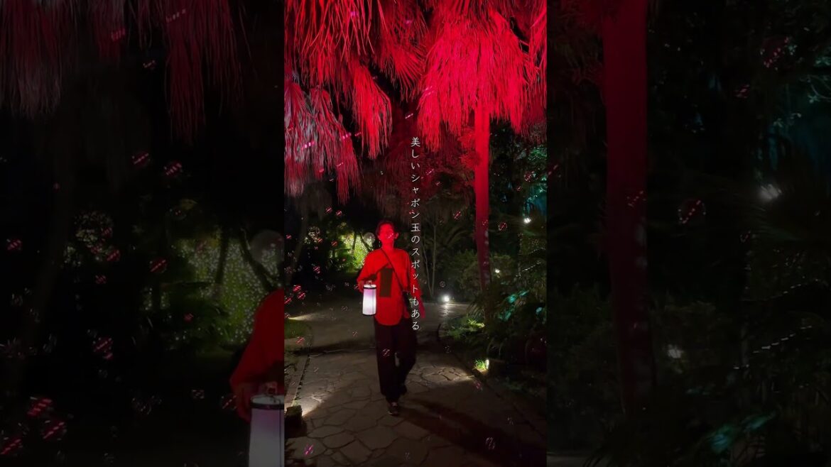 【鹿児島初開催】美し過ぎるライトアップ#shorts