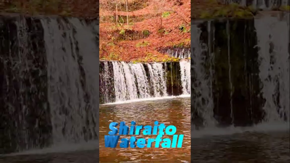 “Shiraito Falls: The Silken Veil of Karuizawa”. #shortsviral #travel #karuizawa #waterfall "Shiraito Falls: The Silken Veil of Karuizawa". #shortsviral #travel #karuizawa #waterfall