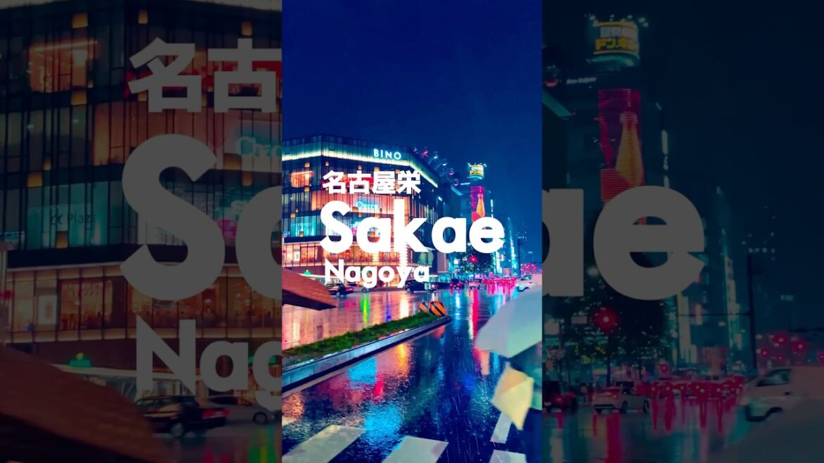 Nagoya Sakae #nightlife #nagoya