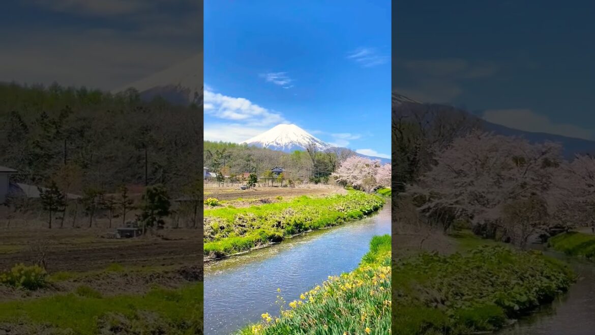 Mount Fuji #mountfuji #imaginedragons #volcano