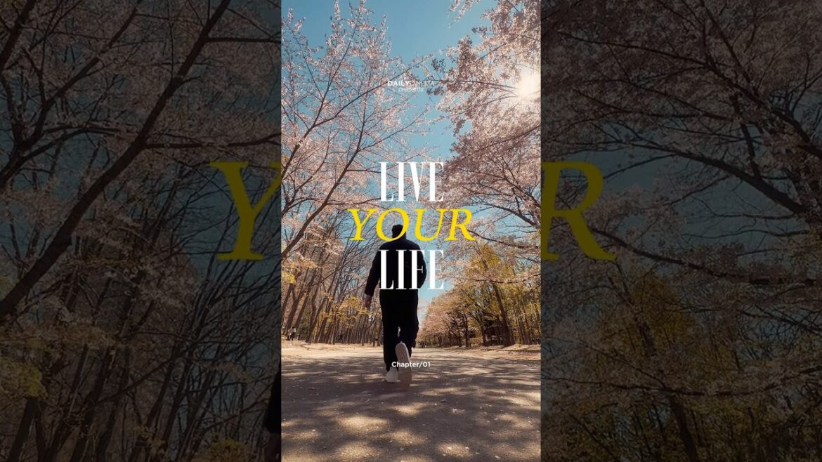 Solo Traveling Japan 14 Hari Tokyo-Alpen Route-Sapporo-Osaka-Kyoto