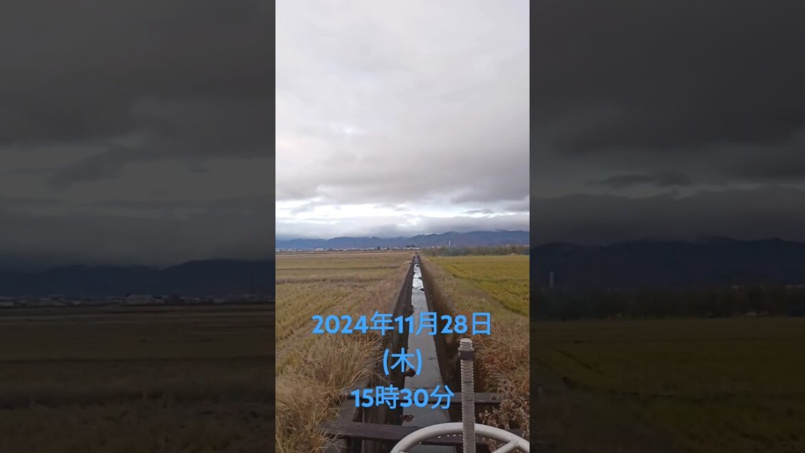 山形県寒河江市散歩にて撮影2024年11月28日(木)15時30分