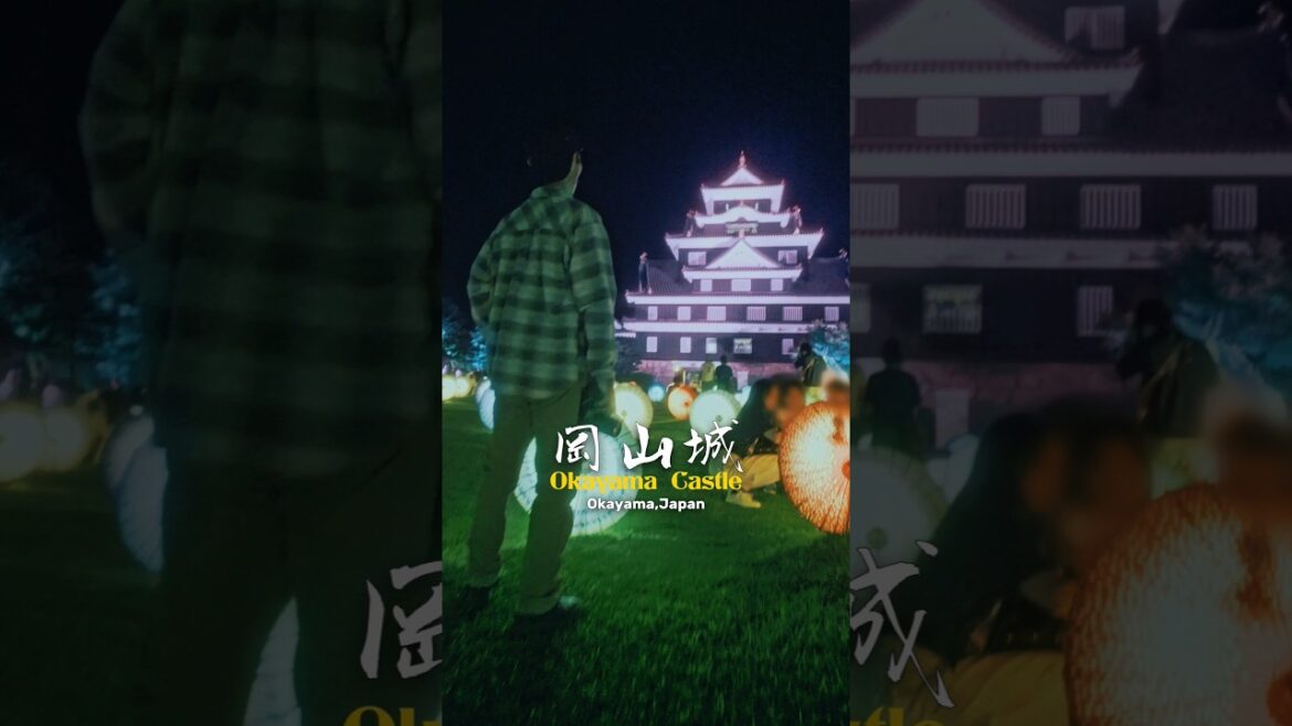 岡山城 (Okayama Castle )