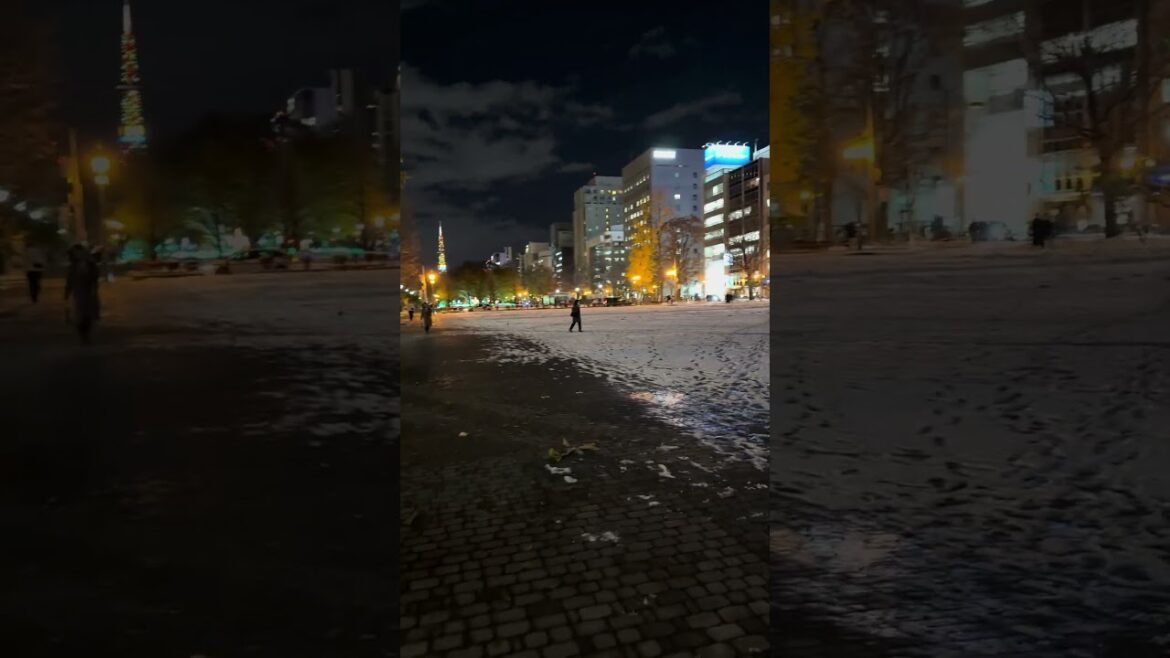 Odori Park Night Walking, Sapporo Winter 2024