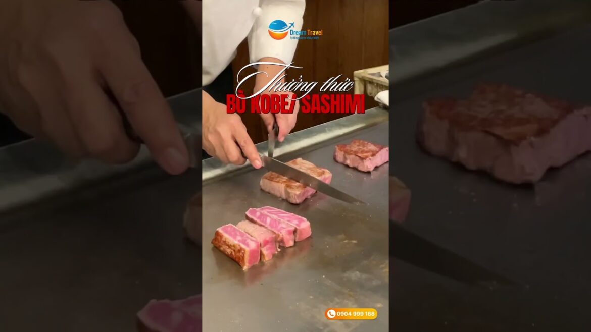 Du Lịch Nhật Bản Đón Tết Nguyên Đán 2025 #dreamtravel