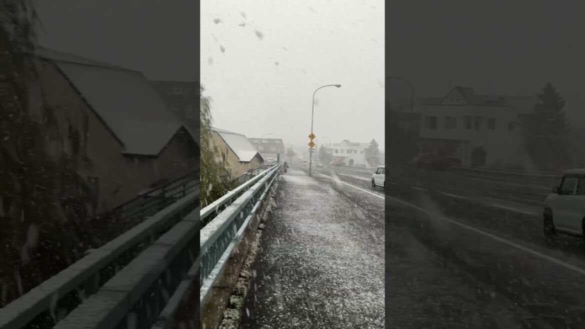 【函館】吹雪ヤバい！#Shorts