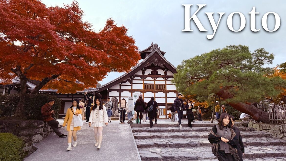 Autumn Colours at World Heritage Tenryu-ji | Arashiyama Walking Tour