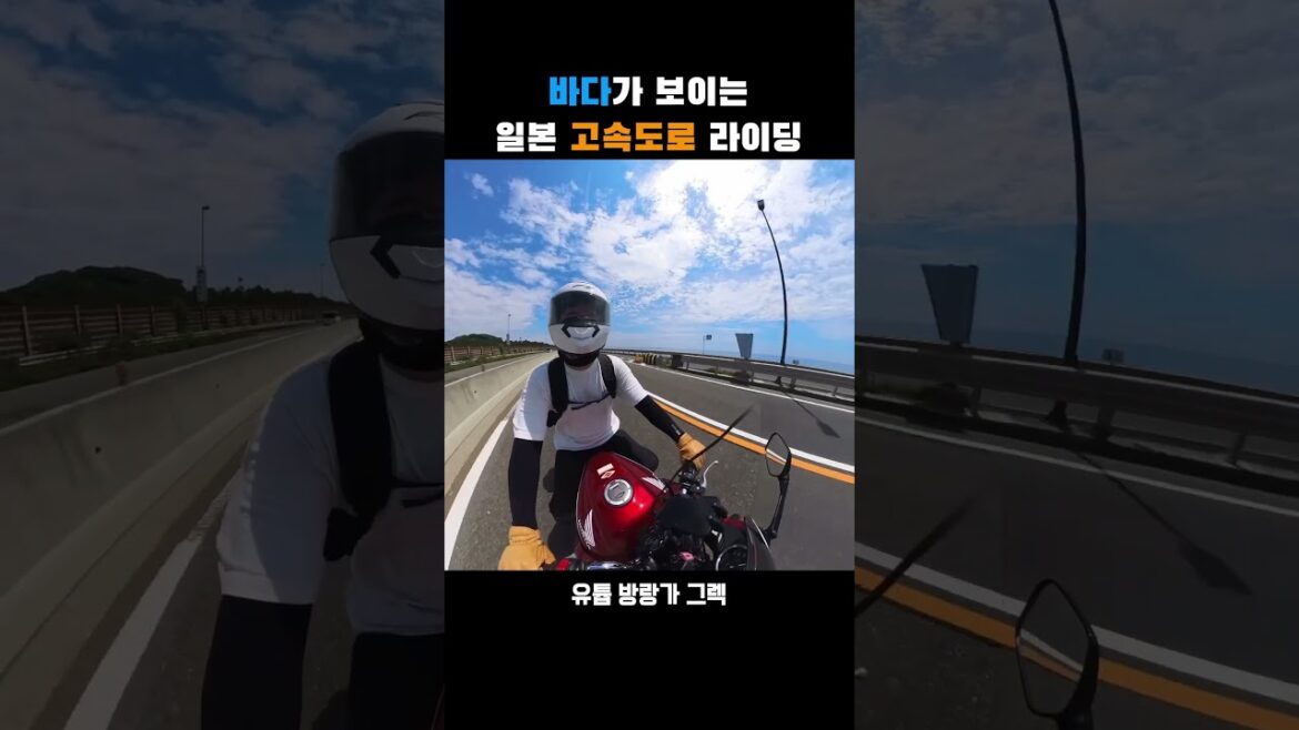 일본 고속도로에서 바다를 보며 달리는 기분