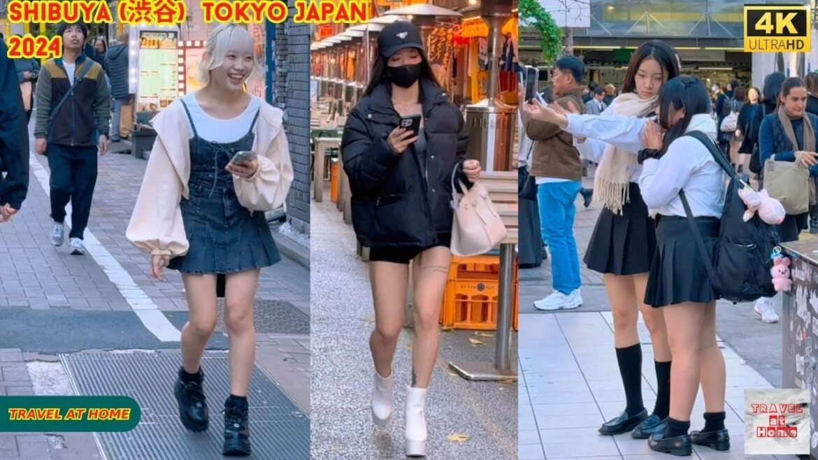 4k hdr Japan travel 2024 | Walk in Shibuya (渋谷) Tokyo Japan |  Relaxing Natural City ambience