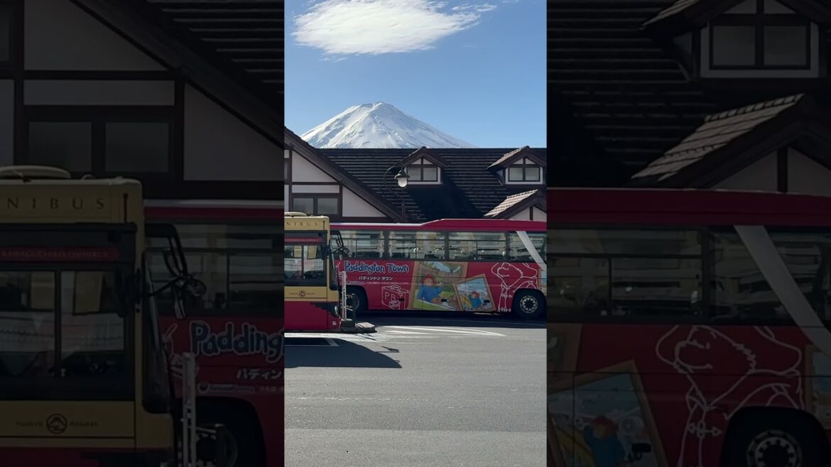 My Fuji at Kawaguchigo Station #shorts #travel #beautiful #nice #japan