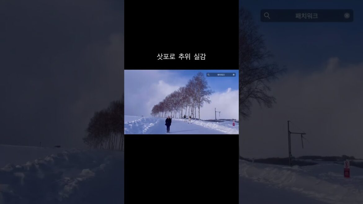 삿포로 여행 준비중이신 분들 꼭 따뜻하게 입고 가세요!! #삿포로 #비에이투어 #vlog #일본여행