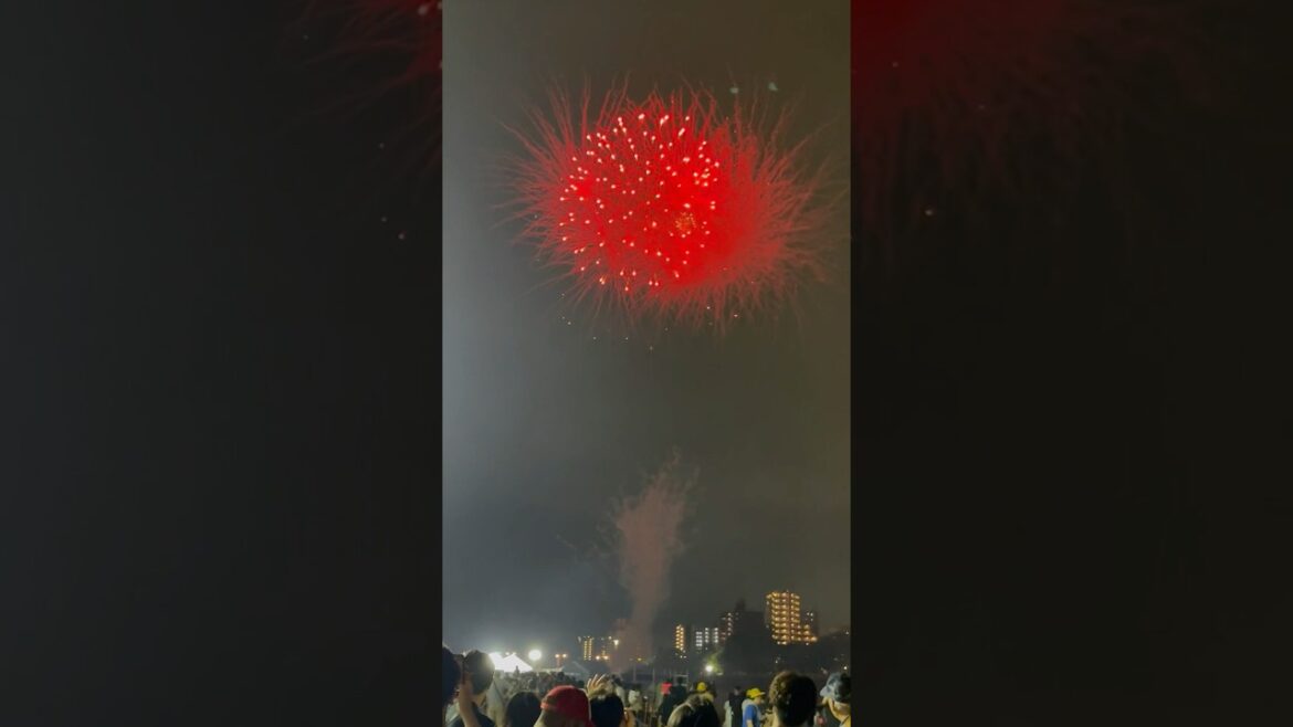 Fireworks 🎇 in Sendai.   #fireworks #travel #sendai  #asiantravel #japan