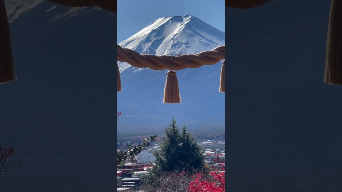 Mount Fuji View of Japan 🇧🇷in🇯🇵 2024📸🗻#shortsyoutube