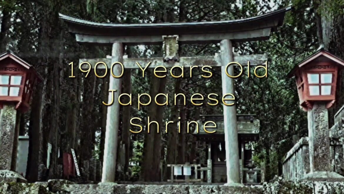 1900 years old shrine in japan yamanashi walking tour ♥️#travel #japan #trending