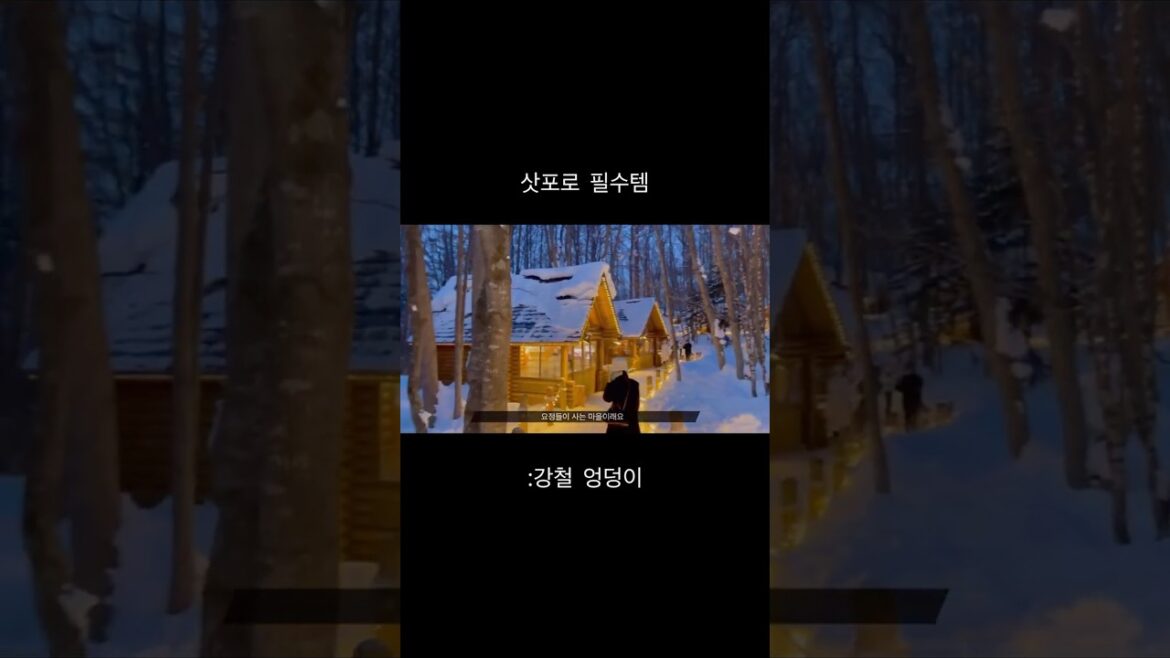 바보같이 웃지마 정들어.. #삿포로 #비에이투어 #일본여행 #vlog