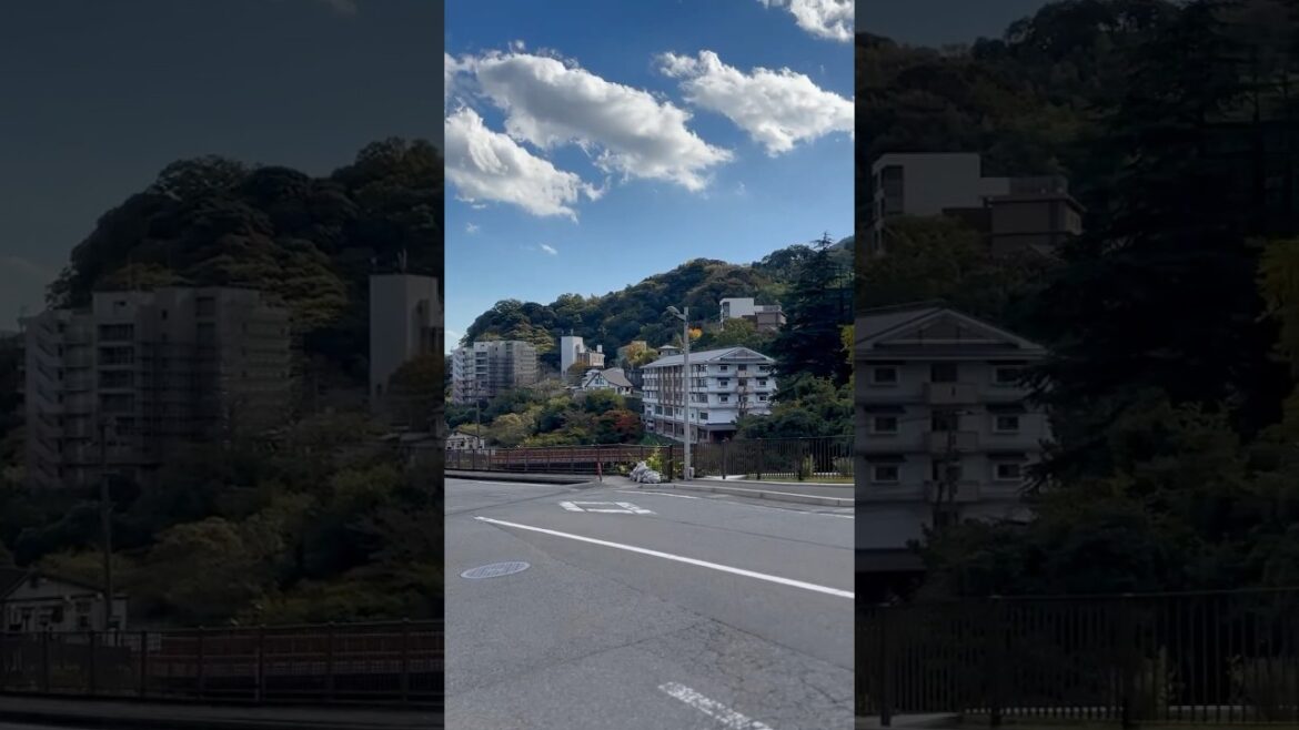 Why Japan is the Most Beautiful Country on Earth #shorts #nature #japan Why Japan is the Most Beautiful Country on Earth #shorts #nature #japan