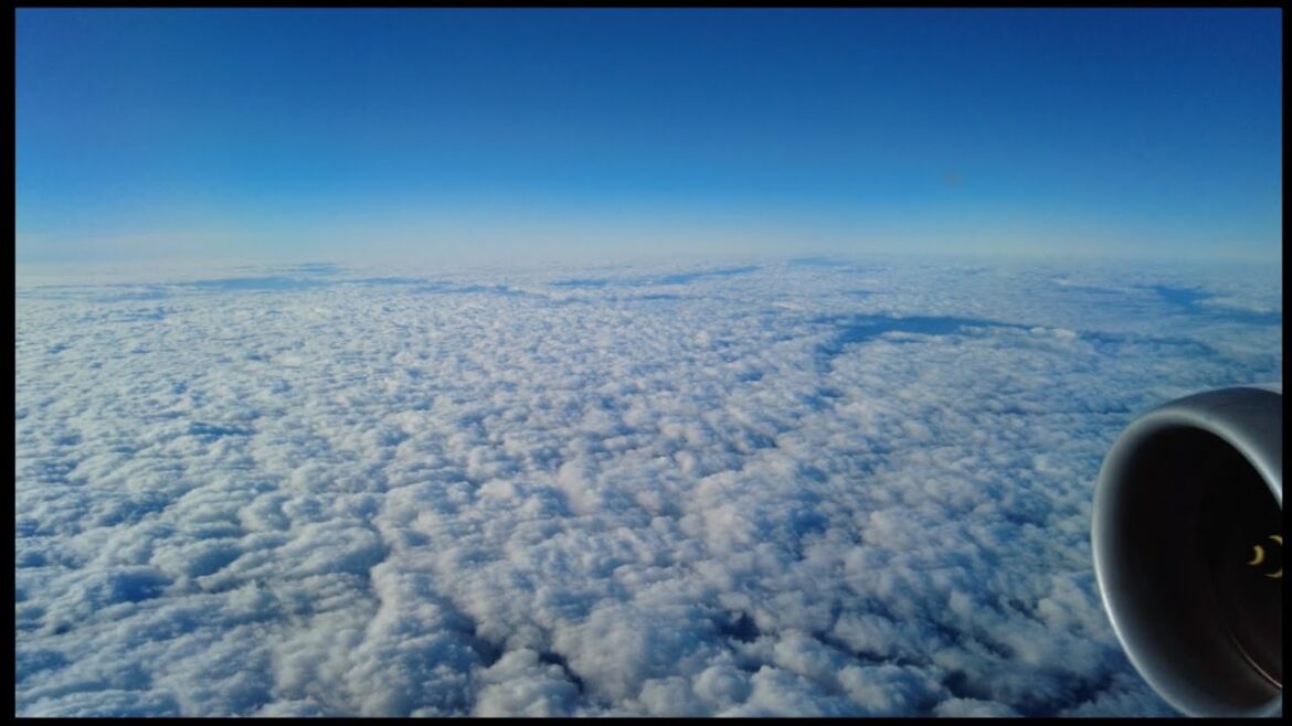 Japan #xiaoqiangwalker #japan #osaka #kyoto #kobe #nara