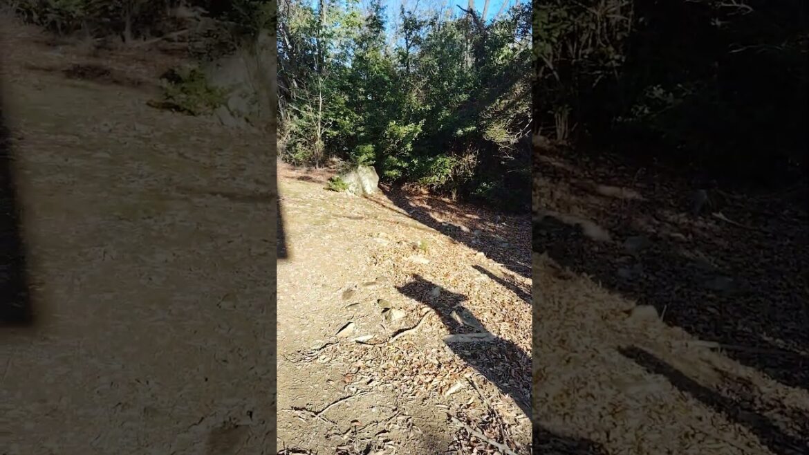 【パワースポット】岡山県総社市　麻佐岐神社