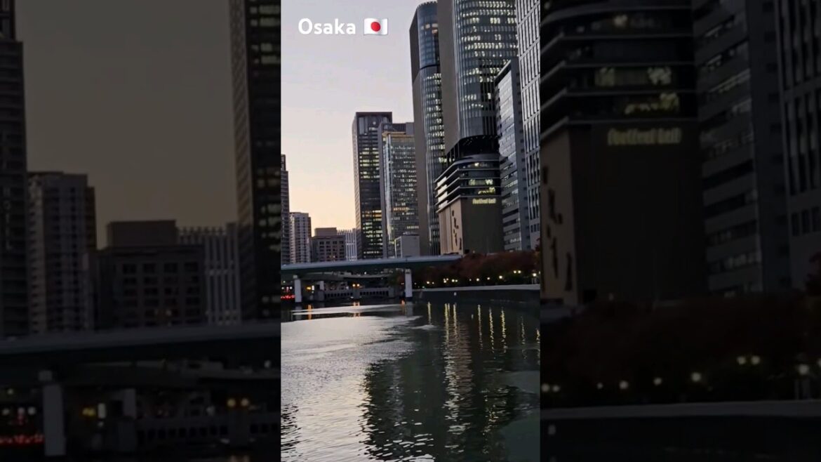 Street Walking Tour Osaka #shortsyoutube #shorts #travel #street #japan #osaka #city