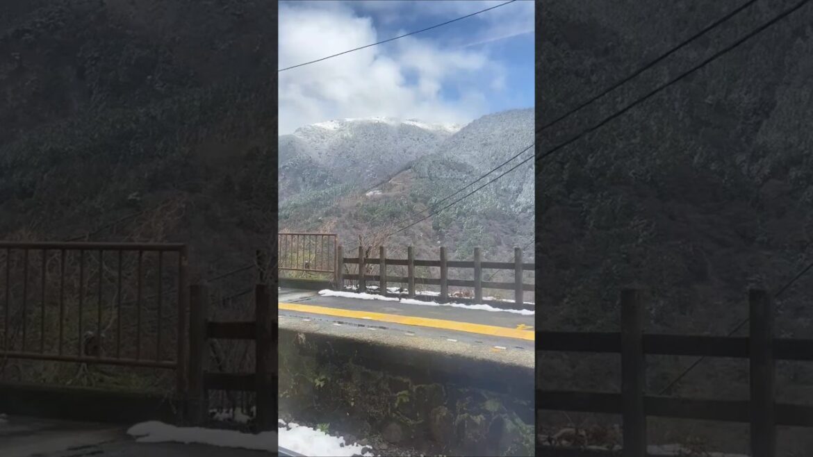 Sky-High Wonders: The Beauty of Hakone Ropeway #travel #nature #shortvideo #shorts #short #status