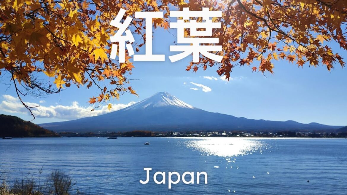 紅葉 -  Red Leafs in Japan