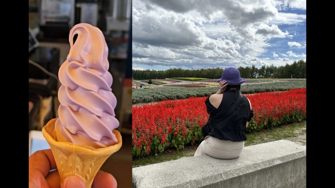 Hokkaido Flower Field/Lavender Ice Cream