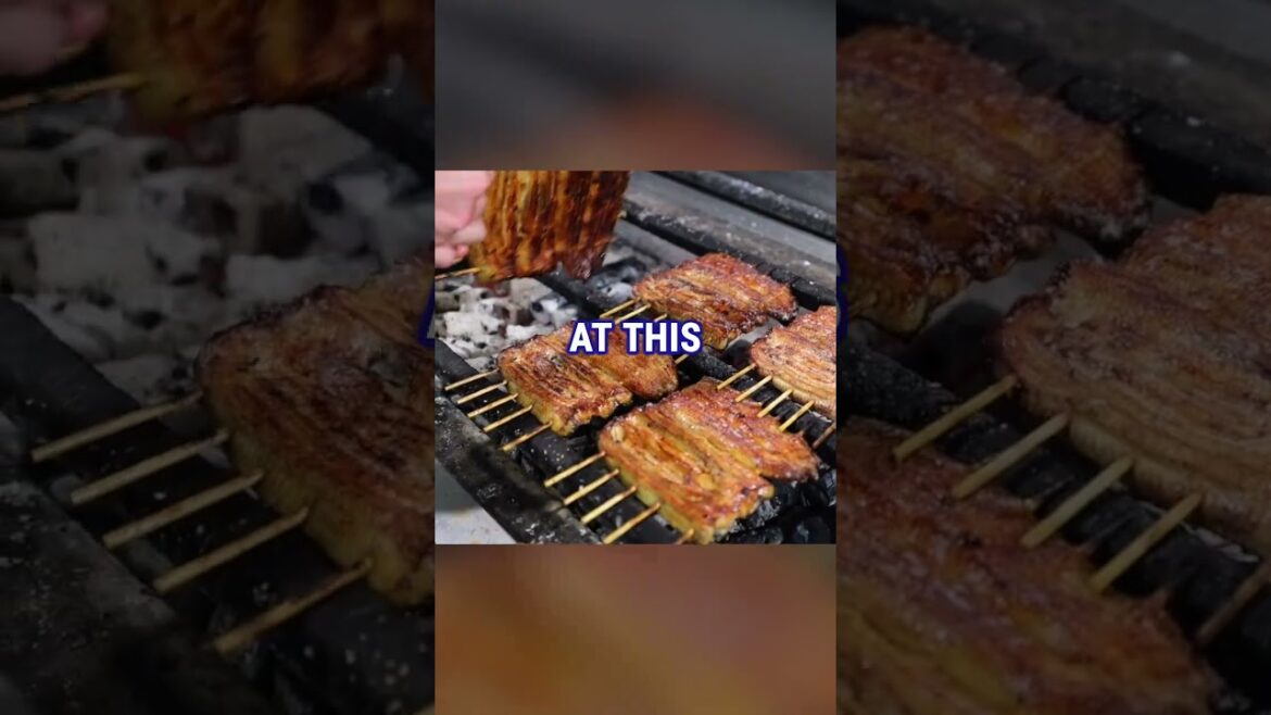 Best Unagi Eel in Tokyo Japan