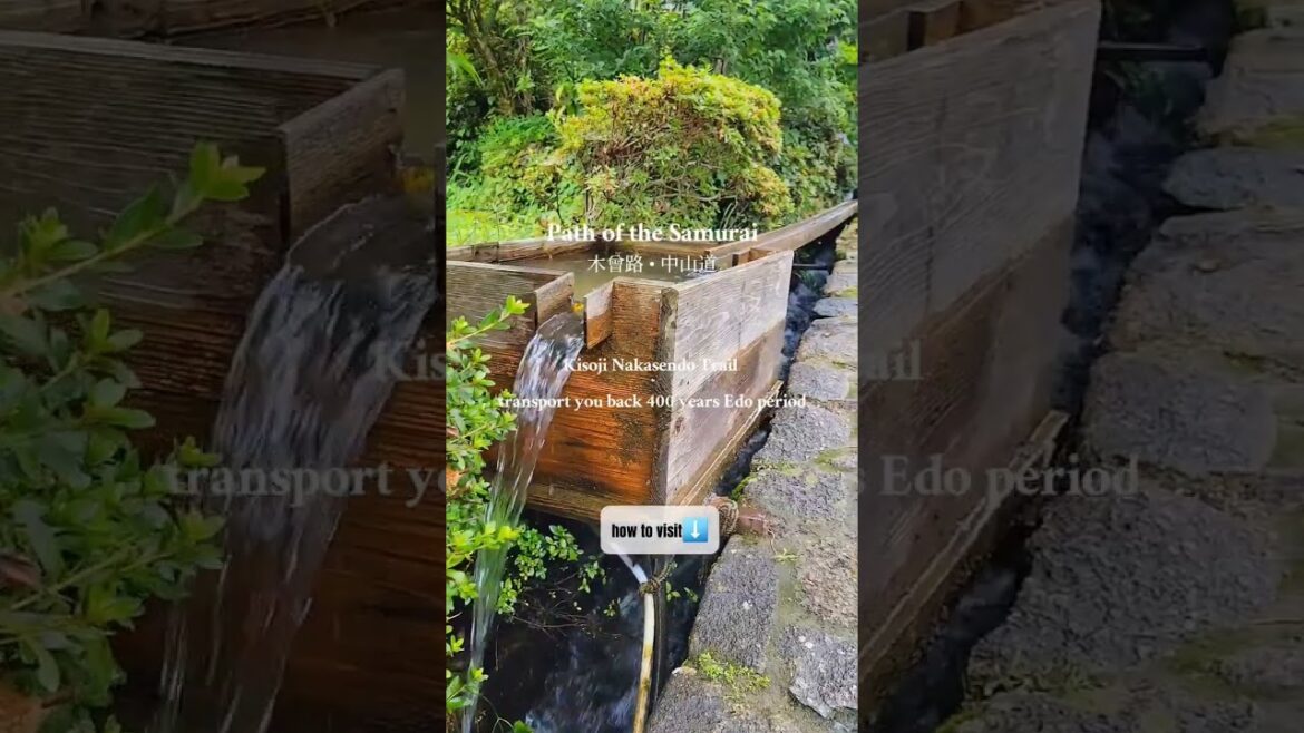 Path Of The Samurai  (Kisoji Nakasendo Trail)  #japan #japantravel #viralvideo #shorts
