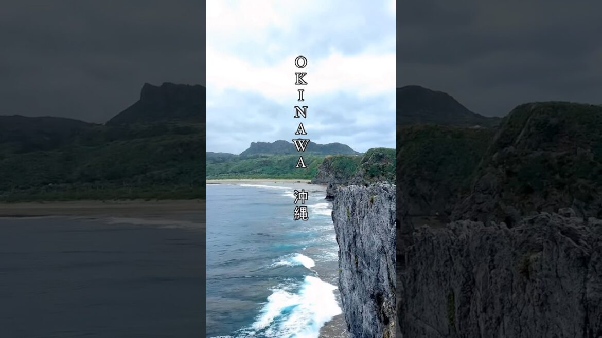 EVERYTHING you can do in Okinawa *Winter edition*