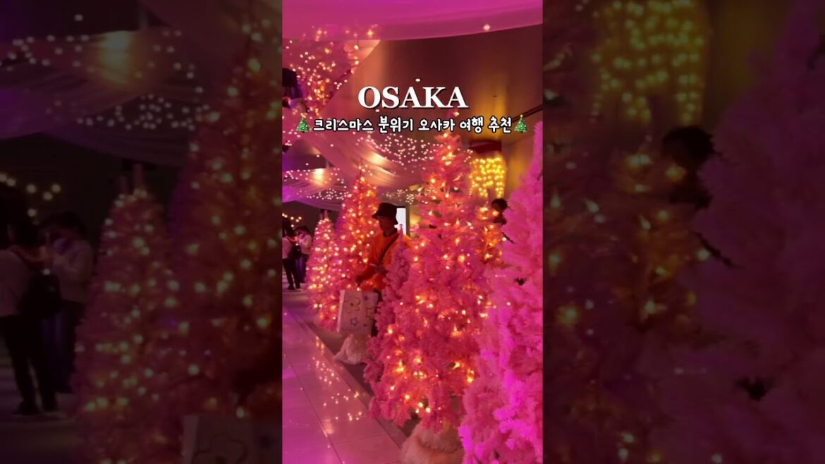 오사카 크리스마스 맛집 🎄✨