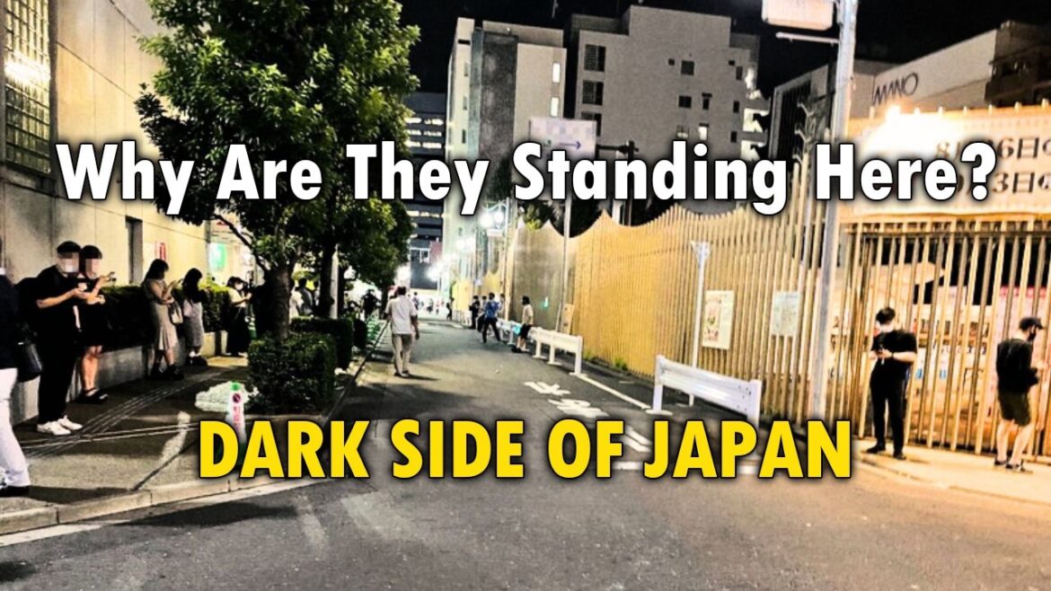 Where to Stay in Tokyo Japan: 4 Best Areas