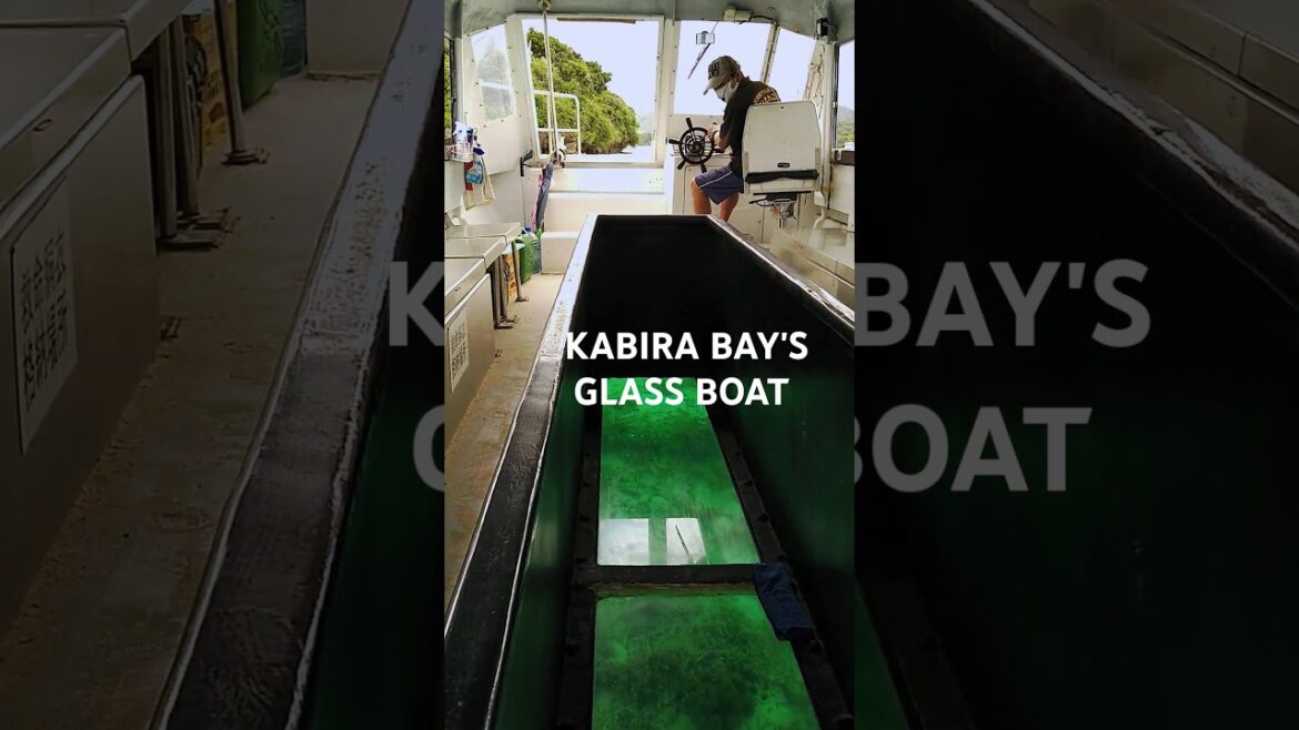 Underwater Secrets: Kabira's Hidden Coral Kingdom #ishigakiisland #KabiraBay #GlassBoatTour