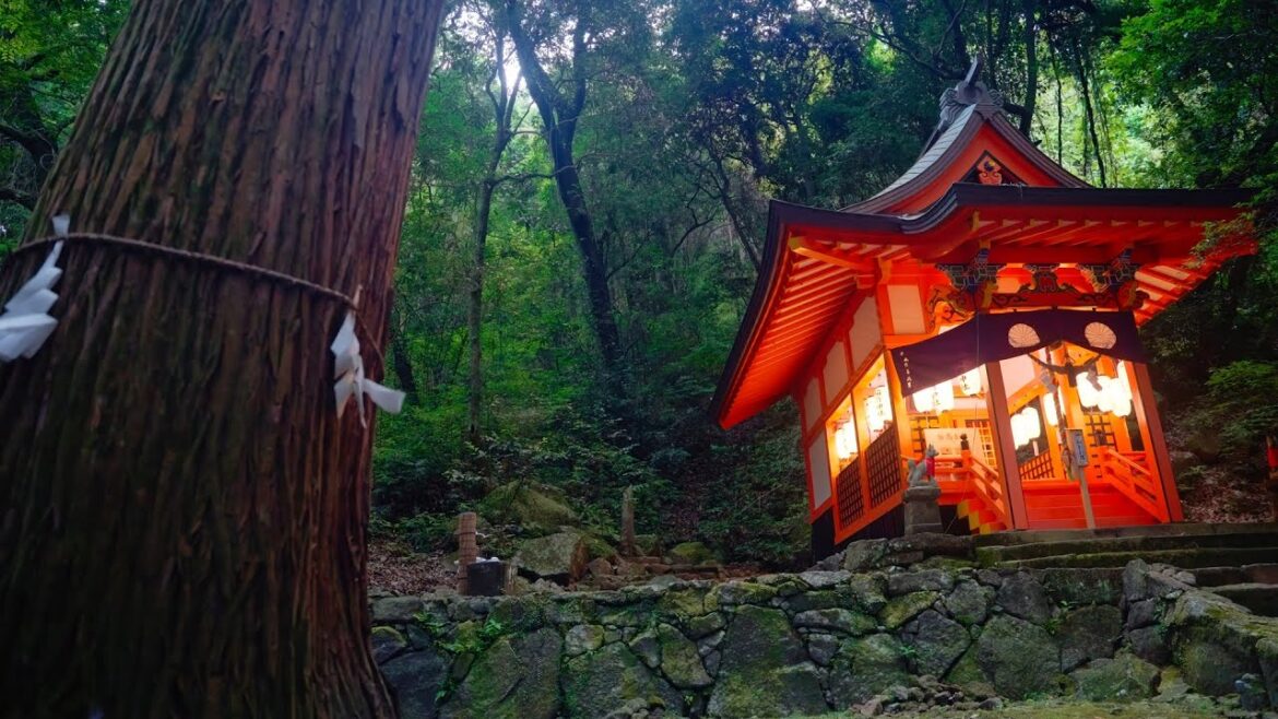 Forest Ambience | Hidden Fox Shrine in the Mountain Forest. Forest Ambience | Hidden Fox Shrine in the Mountain Forest.