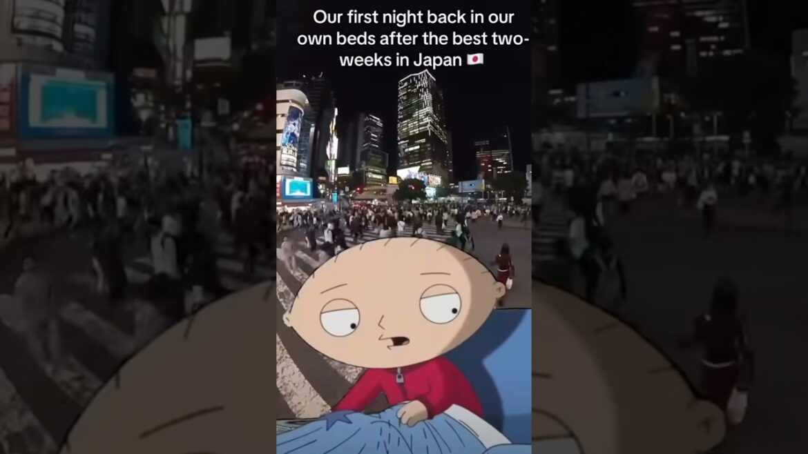 Funny 😆 Vacation Memes 🇯🇵 Japan #japan #travel #japantravel #memes #asiantravel #funny memes