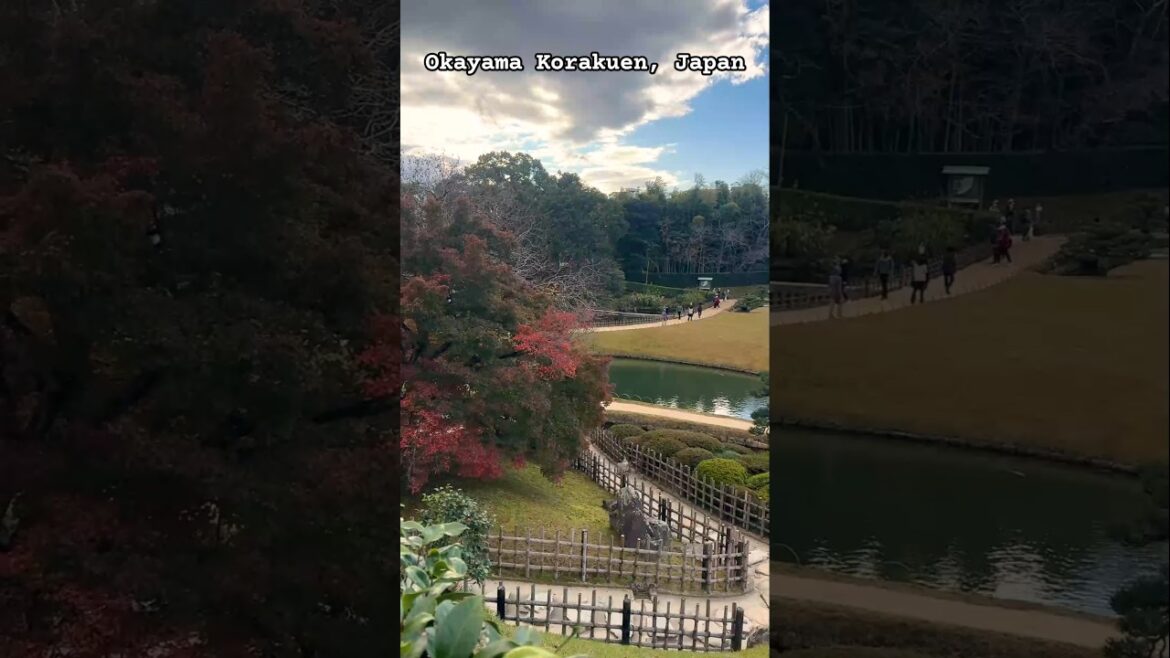 🌸 Stroll Through Okayama Korakuen : A Garden Of Timeless Beauty 🌿 | #ytshorts #japan #shorts #trend 🌸 Stroll Through Okayama Korakuen : A Garden Of Timeless Beauty 🌿 | #ytshorts #japan #shorts #trend