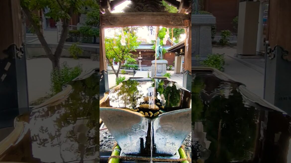 Temizuya of Kushida shrine #shinto #temple #fukuoka #japan