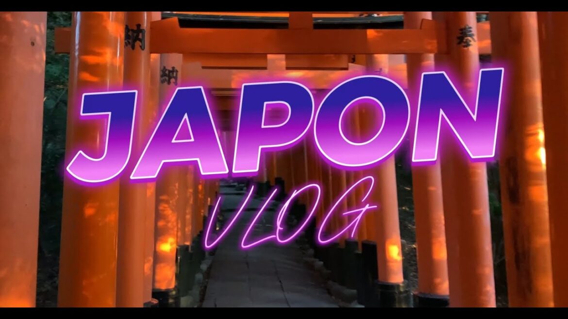 VLOG - SEUL AU JAPON EN NOVEMBRE 2024 !