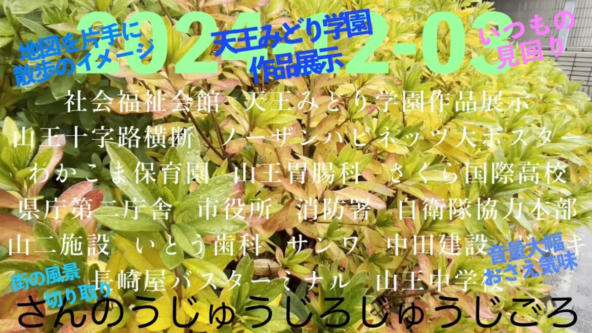 2024-12-03さんのうじゅうじろじゅうじごろ