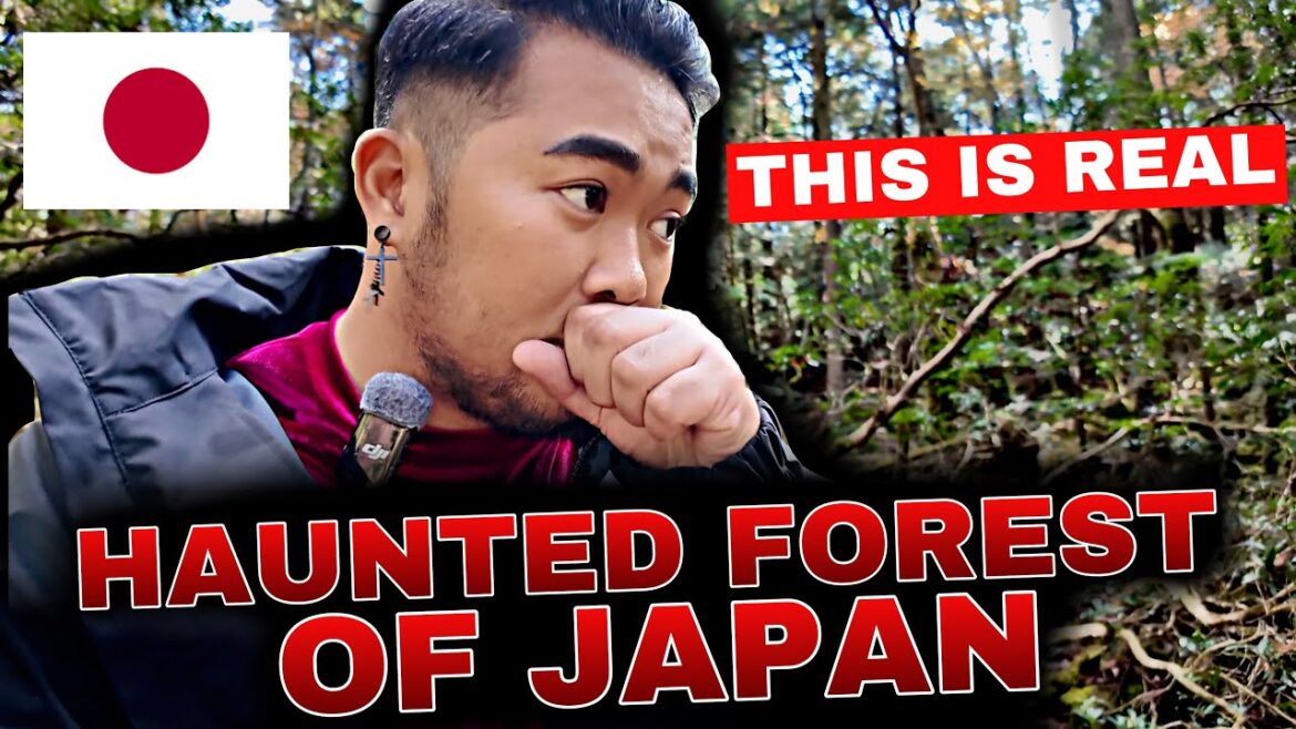 THE HAUNTED FOREST OF MT FUJI JAPAN ๐ฏ๐ต THE HAUNTED FOREST OF MT FUJI JAPAN ๐ฏ๐ต