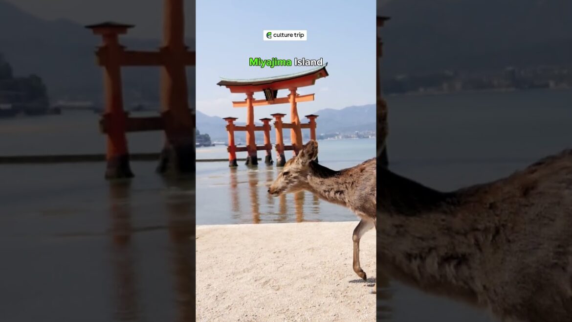 Tokyo is amazing, but there’s so much more to Japan! 🎌❤️ #culturetrip