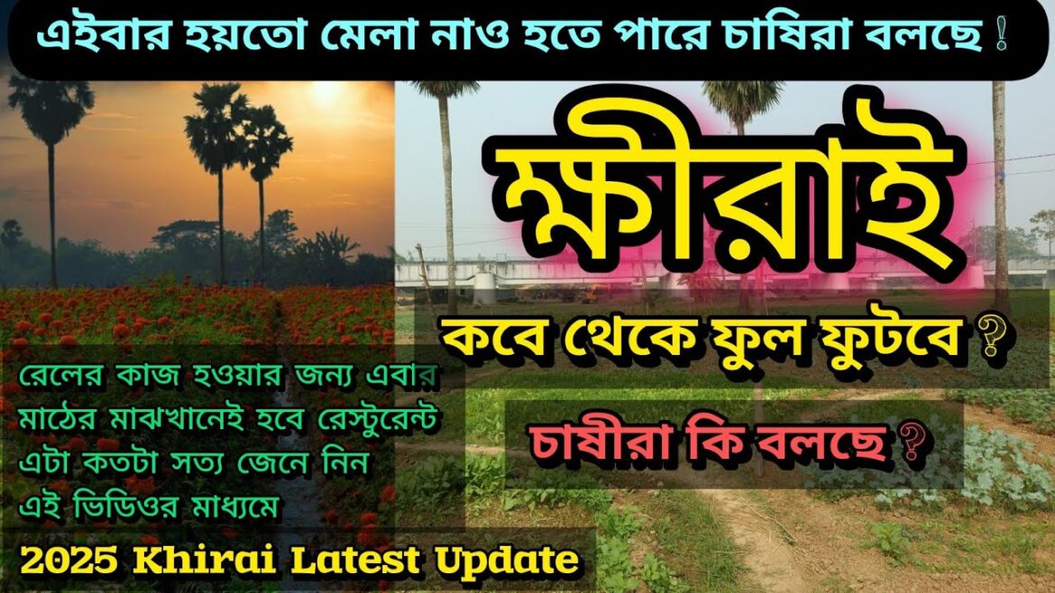 Khirai new update 2025 | The valley of flowers | বাংলার ফুলের উপতক্যা ক্ষীরাই | Khirai flower Garden
