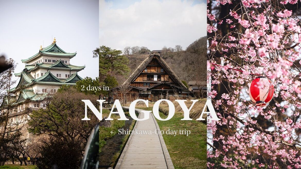 JAPAN VLOG Ep. 4 | 2 days in Nagoya | Sakura Success! | Shirakawa go Day Trip JAPAN VLOG Ep. 4 | 2 days in Nagoya | Sakura Success! | Shirakawa go Day Trip